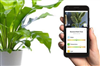 تصویر گیاهان موجود در منزلتان را با موبایل نگهداری کنید
