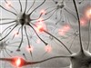 تصویر هوش هیجانی چیست و چگونه دگمه توربوی مغز خود را بزنیم 