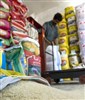 تصویر آلودگی برنج‌های وارداتی تایید شد/ تخلفات استانداردی صنایع لبنی
