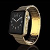 تصویر گران قیمت‌ترین «Apple Watch»/ عکس