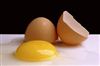 تصویر تخم مرغ های آلوده، آلمان را به هم ریخت