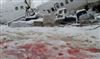 تصویر ابهامات جدید و سوالات جدی درباره سانحه بوئینگ ارومیه: از 45 دقیقه گم شده تا بنزین هواپیما 