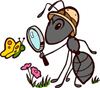 تصویر مورچه‌ها از بچه‌های دبستانی باهوشترند!