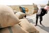 تصویر کاهش 40 درصدی واردات برنج 