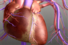 تصویر قلب مصنوعی ساخته شد