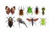تصویر فناوري ابداعي دانشمند ايراني پيوستن حشرات به يگان‌هاي پليس و امداد!