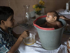 تصویر جدی شدن خطر ویروس زیکا/السالودور و کلمبیا از زنان خواستند تا دو سال دیگر باردار نشوند 