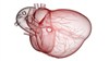 تصویر استفاده از ضربان قلب به عنوان کلید رمزگشا