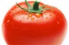 تصویر مصرف گوجه فرنگی حرام اعلام شد!