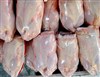 تصویر ضبط 1.6 میلیون قطعه مرغ به دلایل بهداشتی 