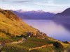 تصویر لاواکس نام منطقه ای زیبا در کشور سوئیس