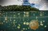 تصویر عجیب ترین دریاچه های جهان 
