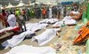 تصویر اوحدی اعلام کرد: 239 کشته و 241 نفر مجروح آخرین آمار فاجعه منا/ تعداد کشته‌ها به ۴۸۰ نفر می رسد؟ 