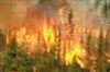 تصویر مجازات محاربه براي آتش سوزي در جنگلها