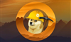 استخراج دوج کوین؛ چطور DogeCoin را استخراج کنیم؟ image