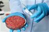 ادعای پژوهشی تازه: گوشت آزمایشگاهی تا 25 برابر بیشتر از گوشت سنتی CO2 تولید می‌کند image
