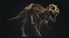 تصویر اسکلت تی‌رکس در حراج «کریستی» رکورد گران‌ترین فسیل دایناسور تاریخ را شکست