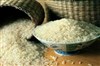 تصویر تولید خون از دانه های برنج! 
