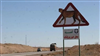 تصویر ۳۰ کیلومتر کاهش سرعت مجاز در جاده عباس‌آباد-میامی برای حفاظت از جان یوزپلنگ ایرانی