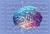 تصویر امواج مغزی هویت‌تان را لو می‌دهد!/تشخیص با دقت ۱۰۰ درصد 